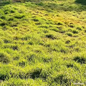 Terrain à bâtir, 500 m²