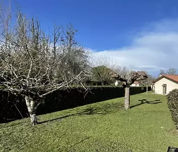 Terrain à bâtir, 650 m²