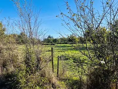 Terrain à bâtir, 600 m²