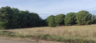 Terrain à bâtir, 350 m²