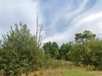 Terrain à bâtir, 2 000 m²