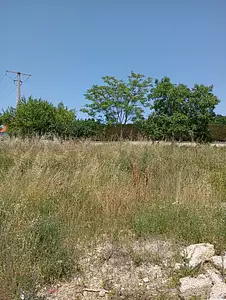 Terrain à bâtir, 500 m²