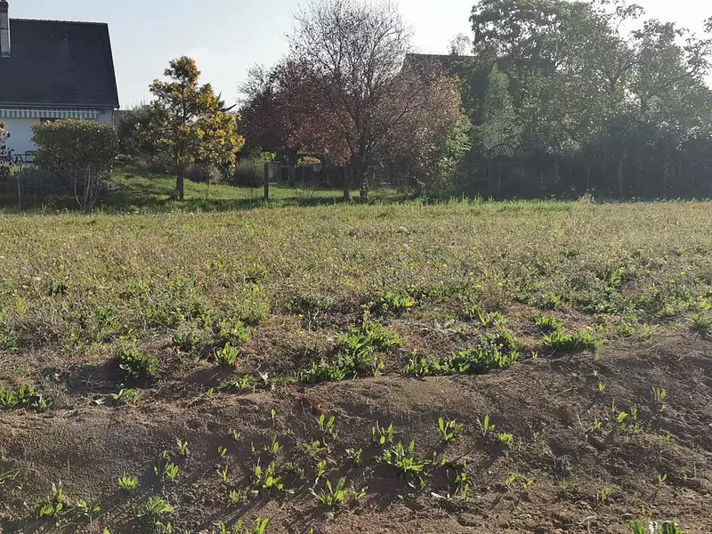 Terrain à bâtir, 434 m² - Luynes (37230)