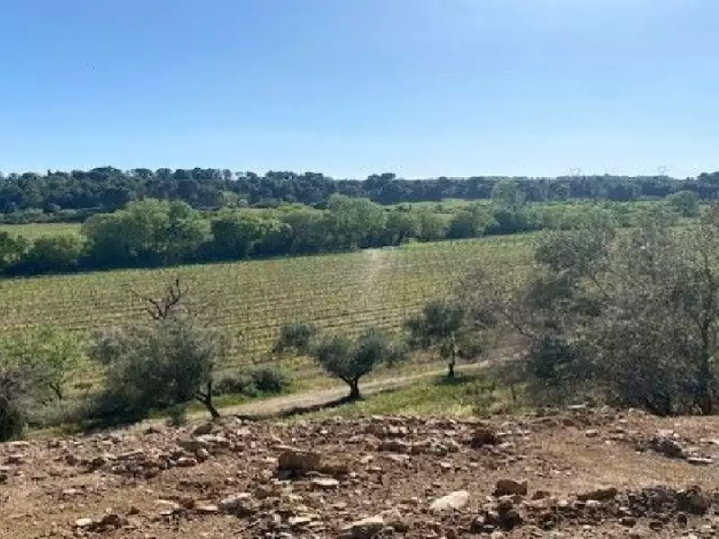 Terrain à bâtir, 2 440 m² - Rieux-Minervois (11160)