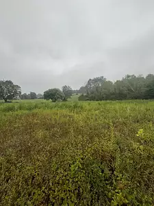 Maison neuve, 100 m²