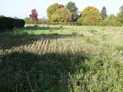 Maison neuve, 80 m²