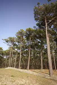 Maison neuve, 90 m²