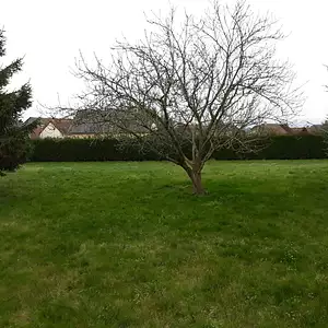 Maison neuve, 90 m²