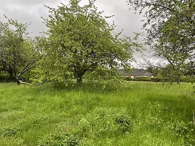 Maison neuve, 90 m²