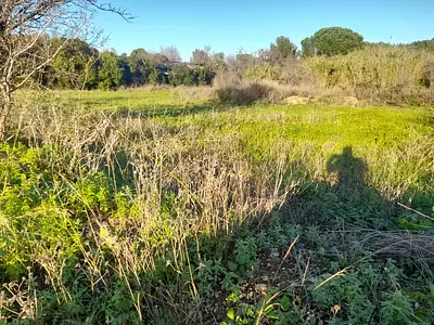 Maison neuve, 135 m²