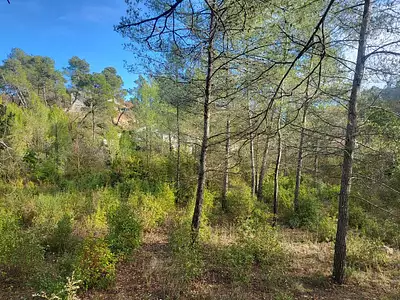 Maison neuve, 110 m²