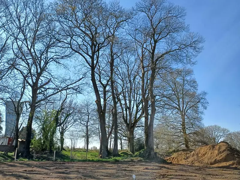 Terrain à bâtir, 404 m² - Bourg-des-Comptes (35890)