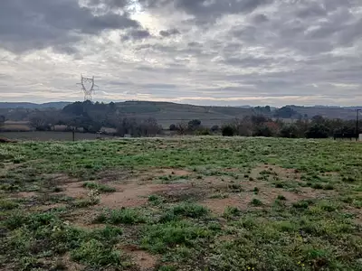 Maison neuve, 50 m²