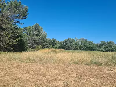 Terrain à bâtir, 890 m²