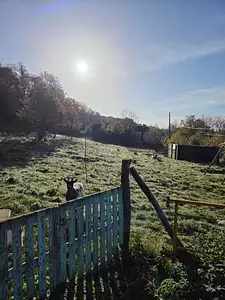 Terrain à bâtir, 1 000 m²