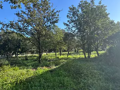 Maison neuve, 200 m²