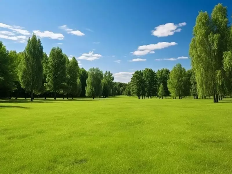 Terrain à bâtir, 500 m² - Brugny-Vaudancourt (51530)