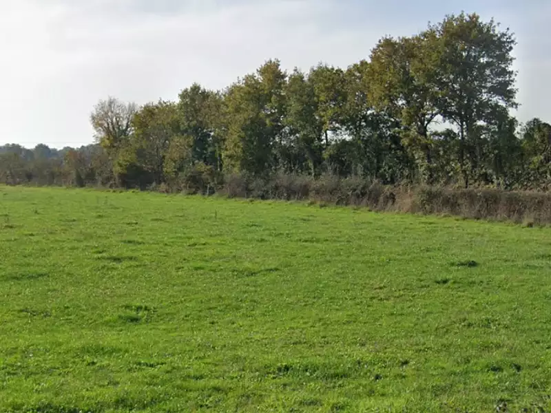 Terrain à bâtir, 1 000 m² - Prinquiau (44260)