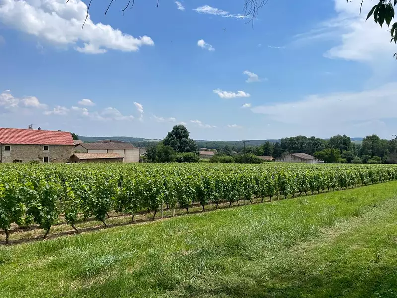 Maison neuve, 90 m² - Clessé (71260)