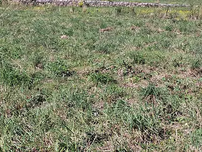 Maison neuve, 120 m²