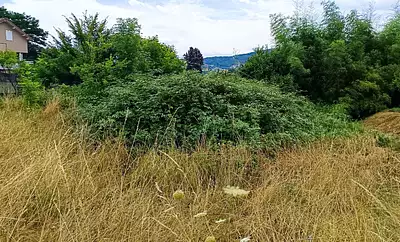 Maison neuve, 104 m²