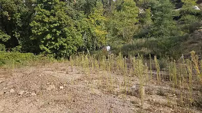 Terrain à bâtir, 884 m²