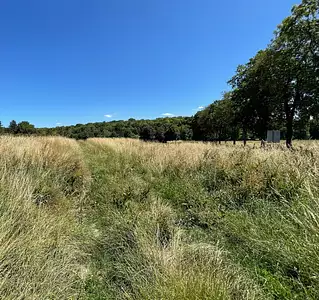 Terrain à bâtir, 994 m²
