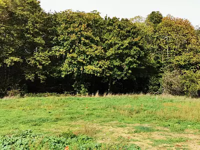 Maison neuve, 111 m²