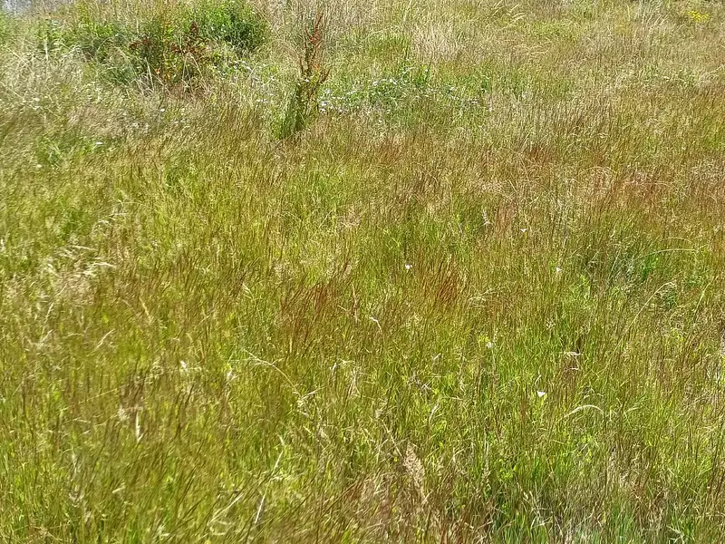 Terrain à bâtir, 658 m² - Saint-Paul-du-Bois (49310)