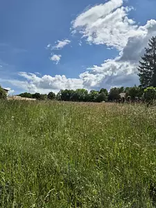 Terrain à bâtir, 2 336 m²