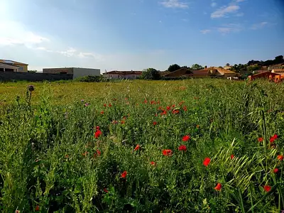 Maison neuve, 73 m²