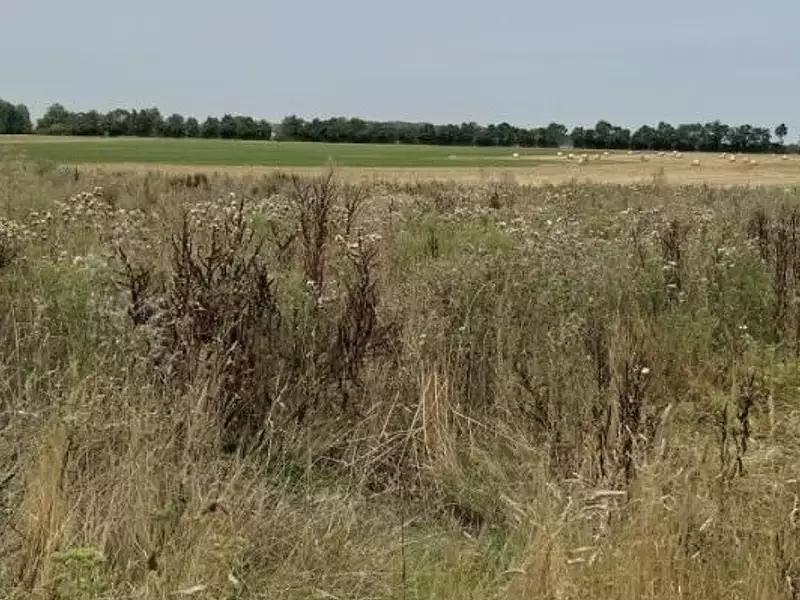 Terrain à bâtir, 500 m² - Lasson (14740)