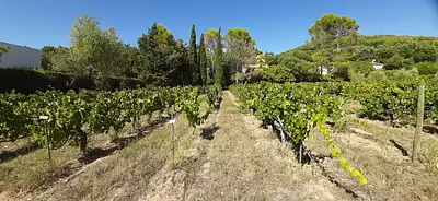 Maison neuve, 140 m²