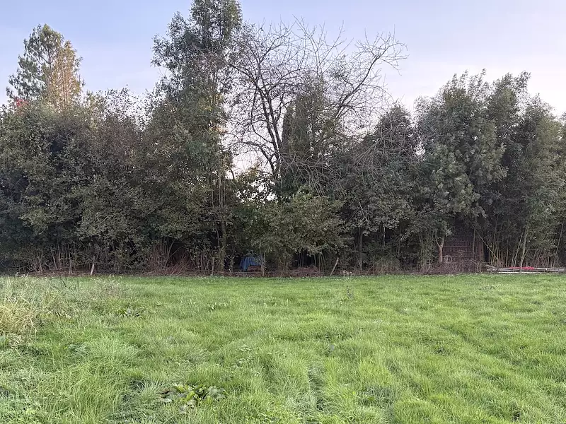 Terrain à bâtir, 1 188 m² - Paray-le-Monial (71600)