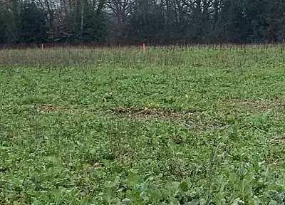 Terrain à bâtir, 369 m²