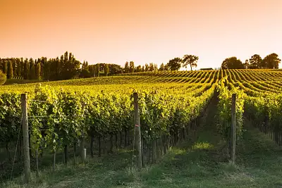 Maison neuve, 100 m²