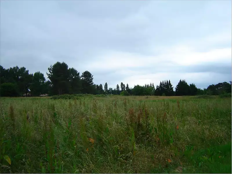 Terrain à bâtir, 2 500 m² - Saint-Michel-de-Double (24400)