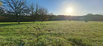 Terrain à bâtir, 4 649 m²