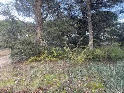 Terrain à bâtir, 901 m²