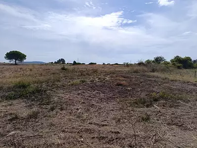 Maison neuve, 100 m²