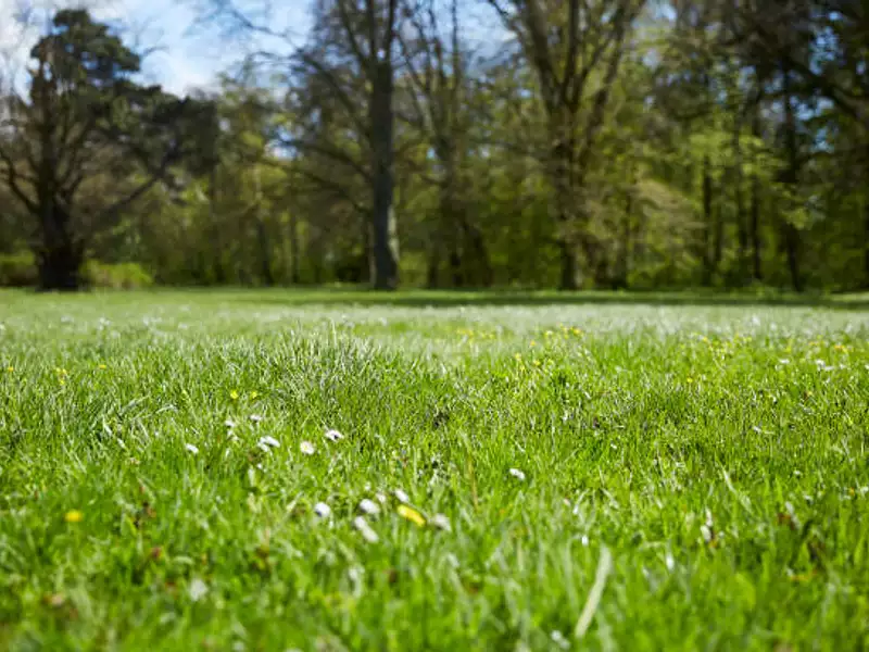 Terrain à bâtir, 544 m² - Saint-Laurent-en-Gâtines (37380)