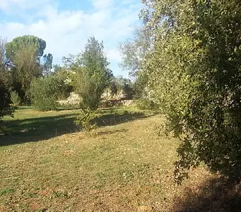 Maison neuve, 81 m²