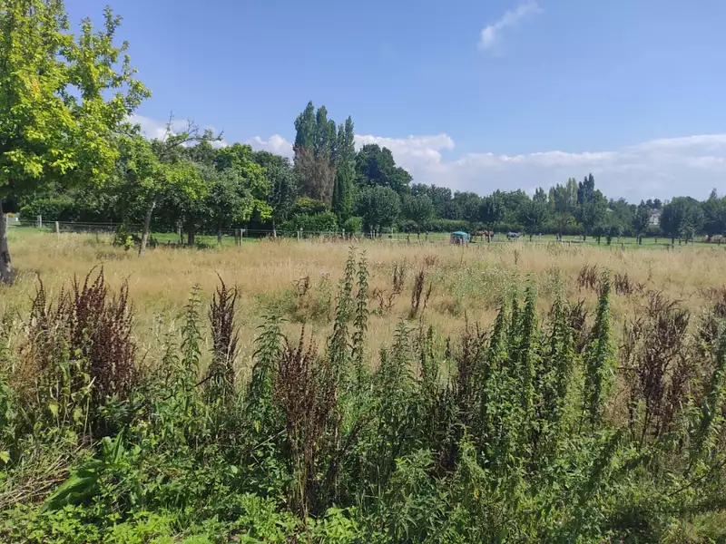 Maison neuve, 164 m² - Saint-Martin-aux-Chartrains (14130)