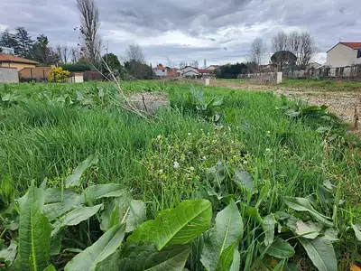 Terrain à bâtir, 190 m²