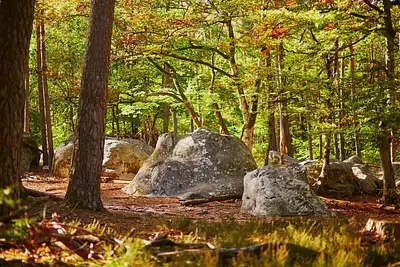 Maison neuve, 90 m²