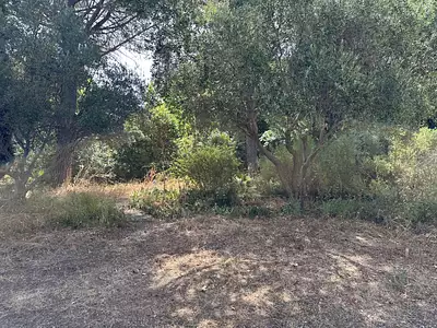 Maison neuve, 105 m²