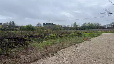 Terrain à bâtir, 850 m²