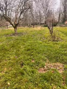 Terrain à bâtir, 2 500 m²