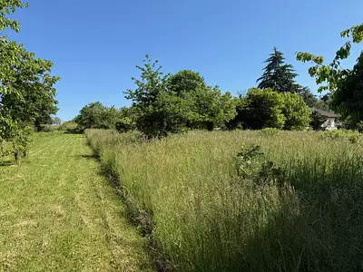 Terrain à bâtir, 3 000 m²