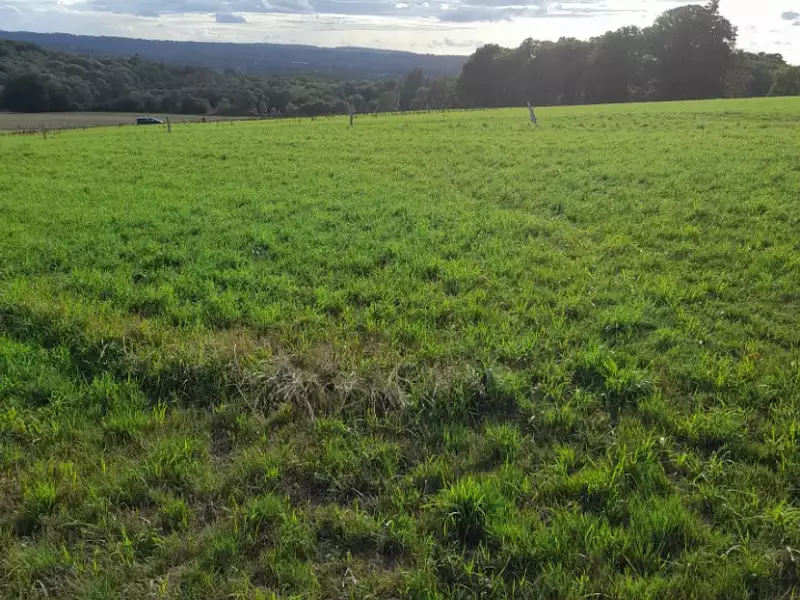 Maison neuve, 107 m² - Verneuil-sur-Vienne (87430)